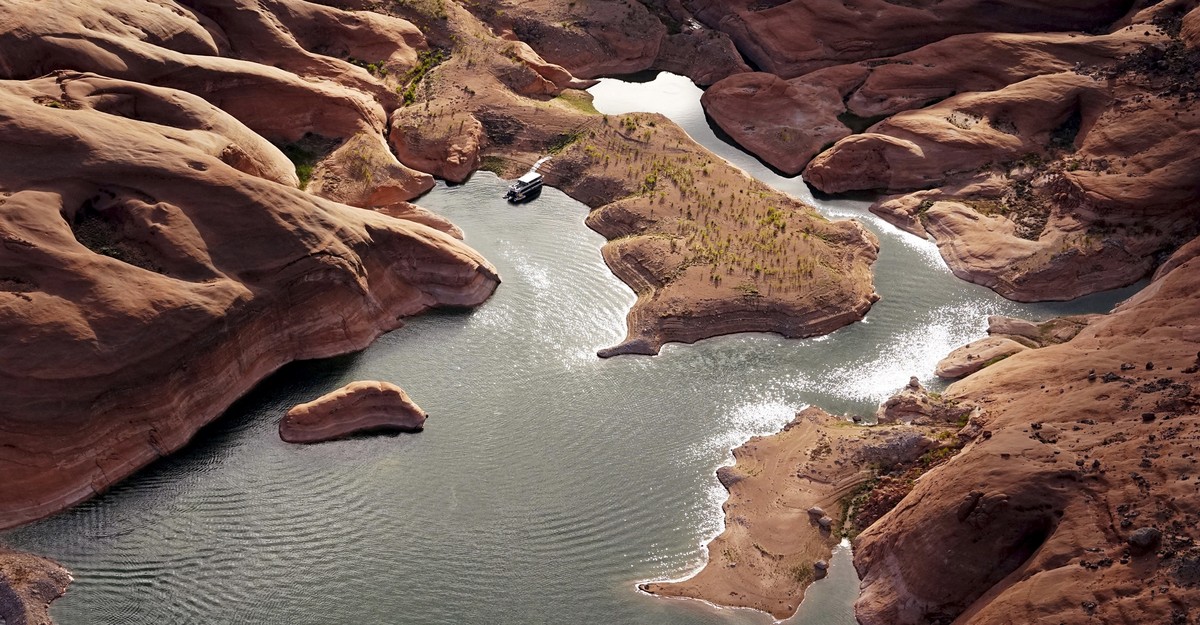 The Fish Dividing Colorado River Conservation Efforts