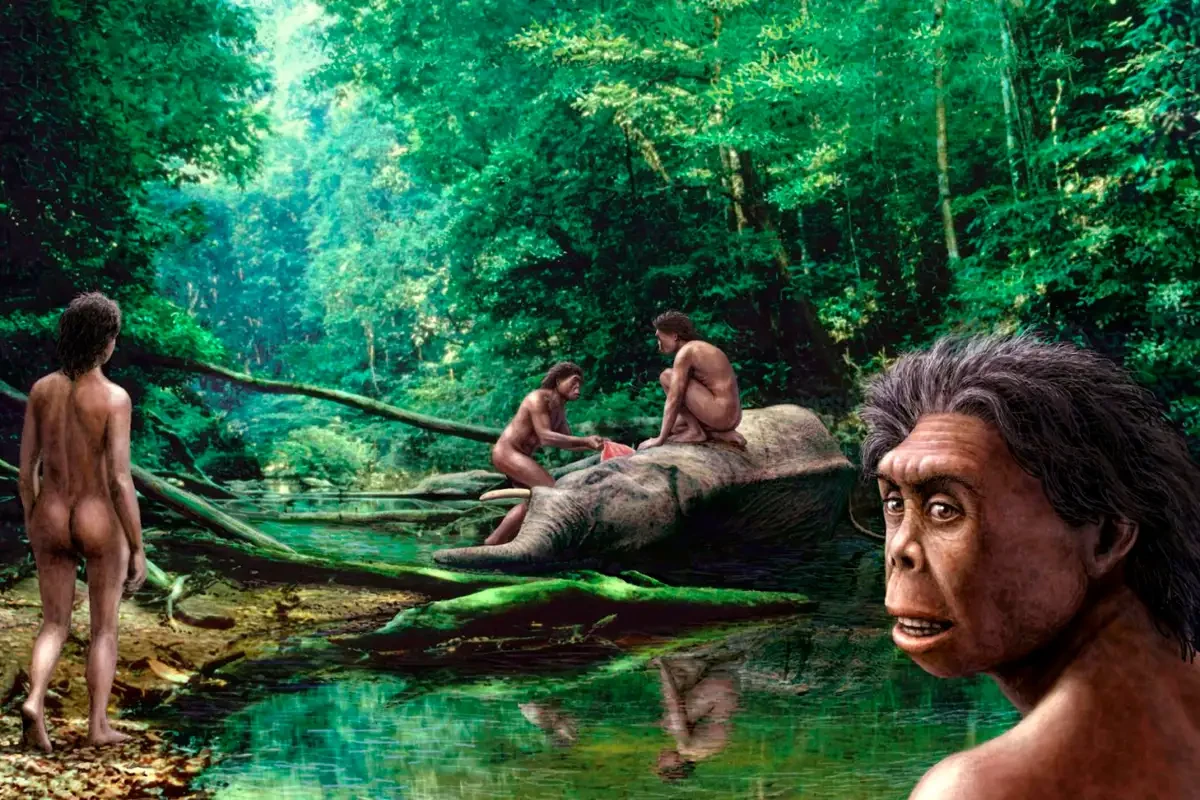 Researchers find lost human sub-species that could still be living on an Indonesian island