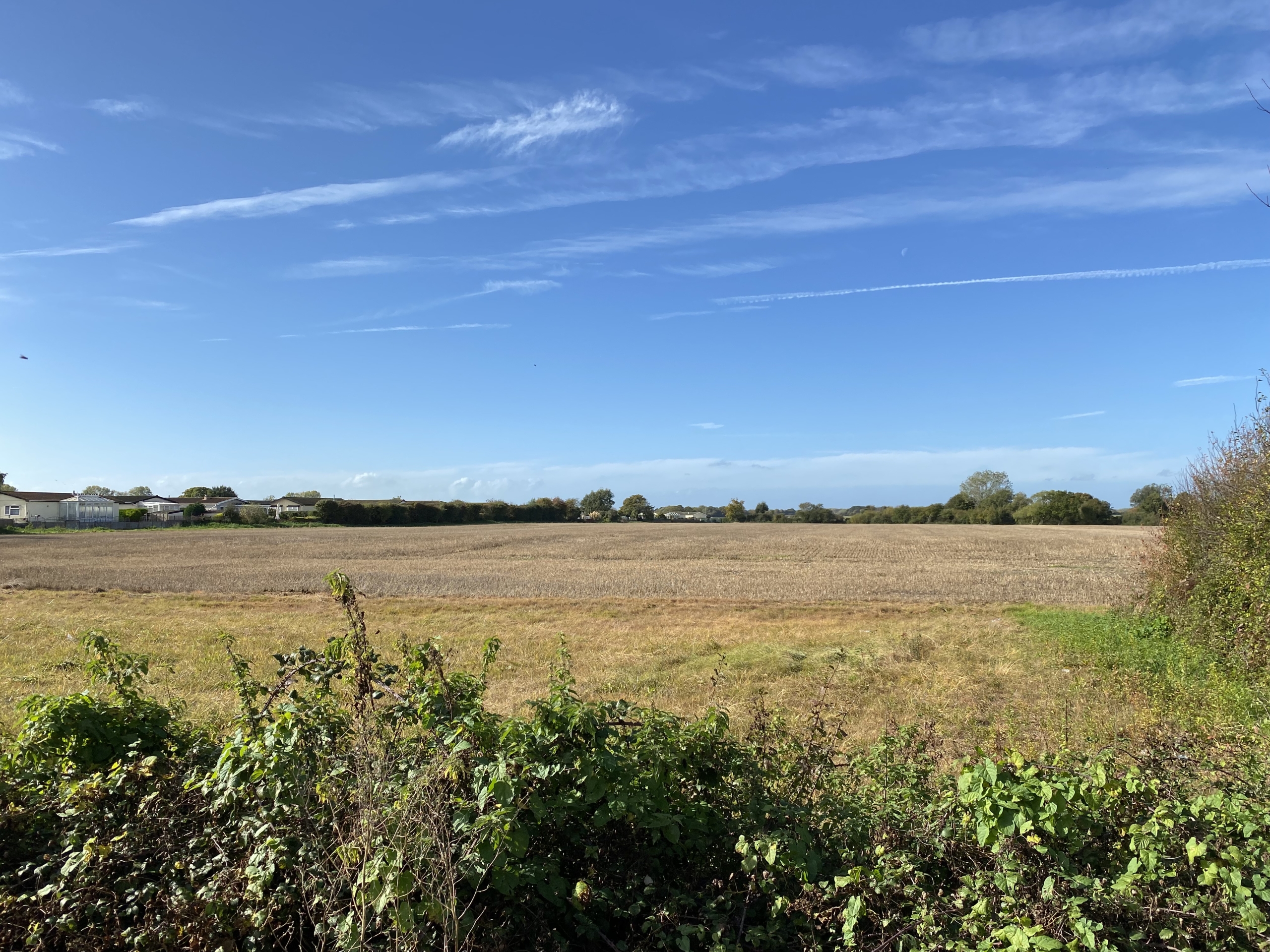 Pagham poised for 106 new homes after Bargate acquisition