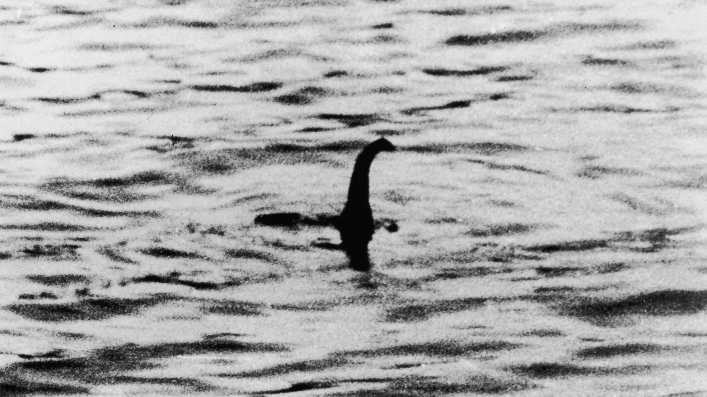 Have you seen Bigfoot or the Loch Ness Monster? Probably not 