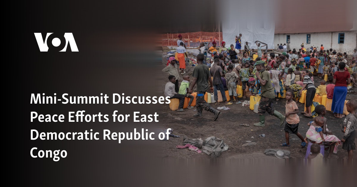 Mini-Summit Discusses Peace Efforts for East Democratic Republic of Congo
