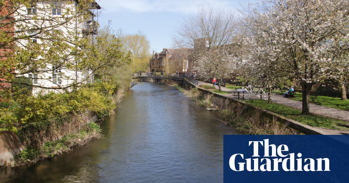 British and Irish rivers in desperate state from pollution, report reveals | Rivers