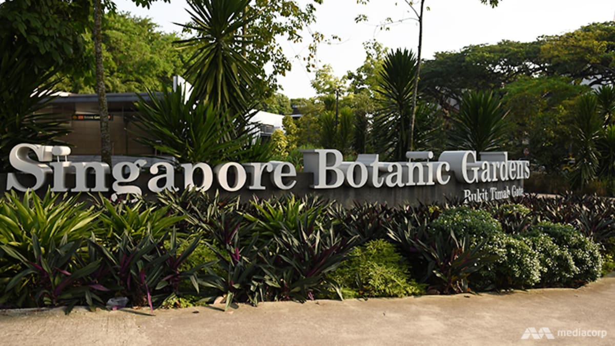 Police warn against calls to gather at Singapore Botanic Gardens for event related to Israel-Hamas war
