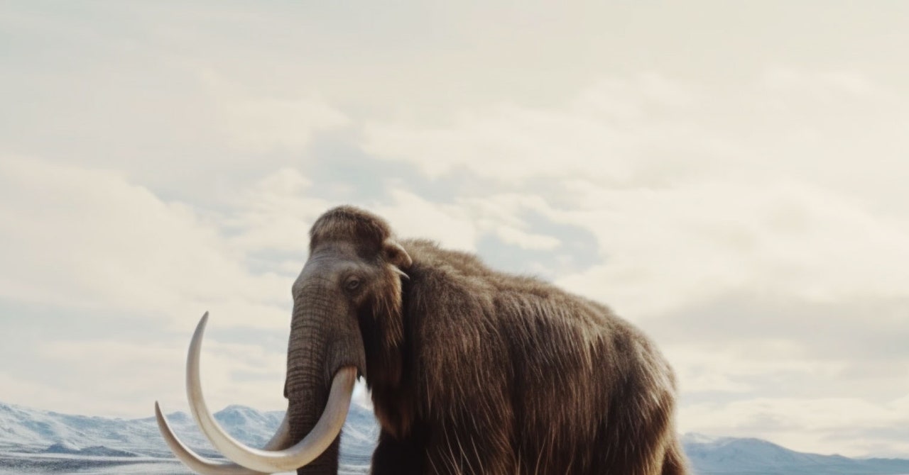 A Startup’s Mission to Bring Back the Woolly Mammoth Is Being Made Into a Docuseries